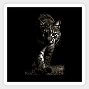 Bobcat Sticker